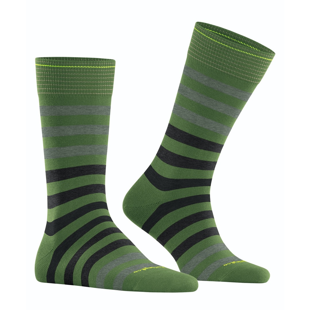 Falke Socken mehrfarbig gestreift Burlington Blackpool 21023 7656 fir green